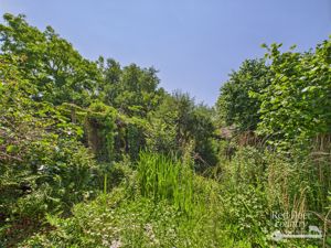 Garden- click for photo gallery